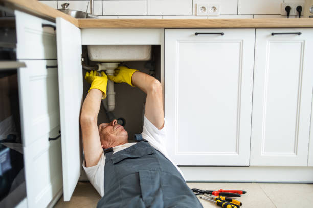 Best Faucet Repair  in Victoria, MN