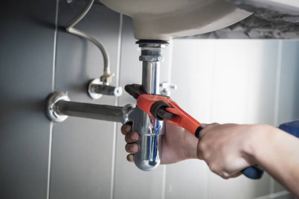 Best Plumbing Services Near Me  in Victoria, MN